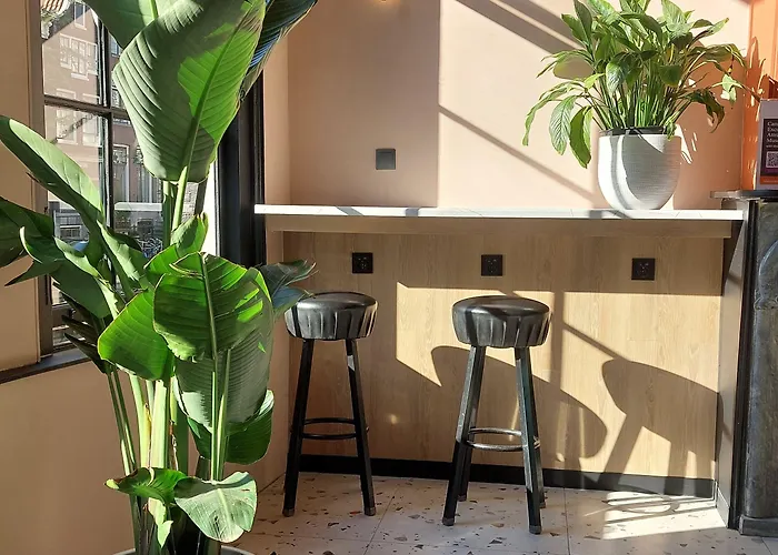 Heart Of Vandrarhem Amsterdam